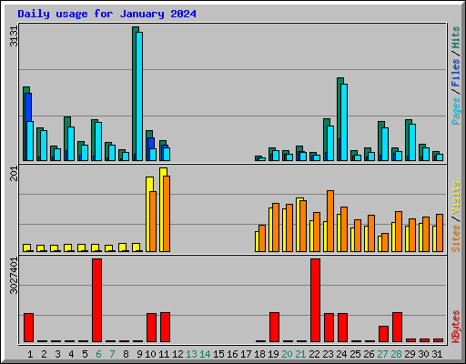 Daily usage for January 2024