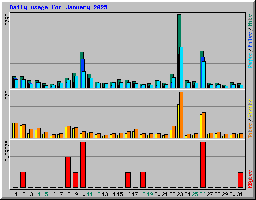 Daily usage for January 2025