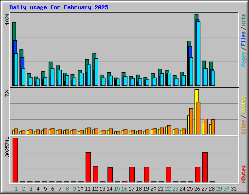 Daily usage for February 2025