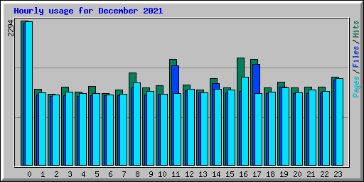 Hourly usage for December 2021