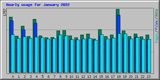 Hourly usage for January 2022