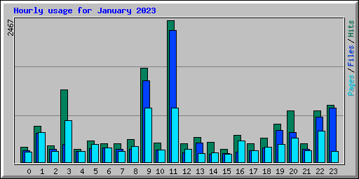 Hourly usage for January 2023