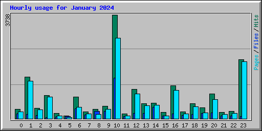 Hourly usage for January 2024