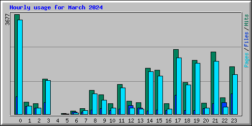 Hourly usage for March 2024