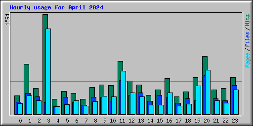 Hourly usage for April 2024