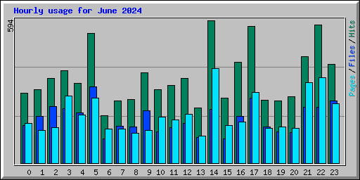Hourly usage for June 2024