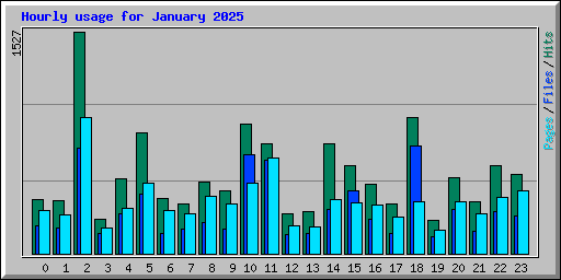 Hourly usage for January 2025