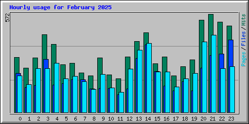 Hourly usage for February 2025