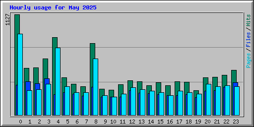 Hourly usage for May 2025