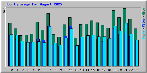 Hourly usage for August 2025
