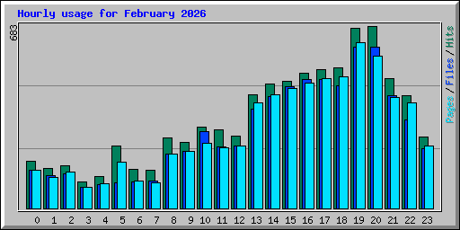 Hourly usage for February 2026