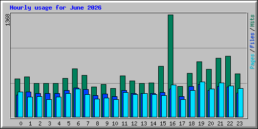 Hourly usage for June 2026
